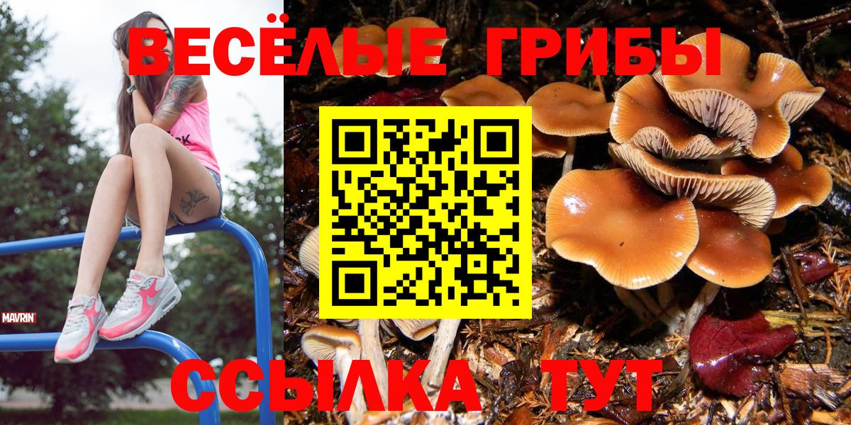Урус-Мартан  Галлюциногенные грибы мухоморы  Вход с VPN 